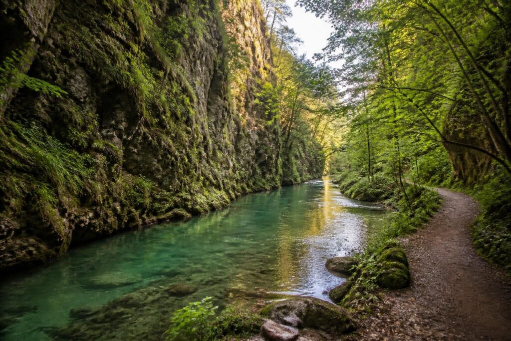 découvrez la beauté sereine des gorges des tines lors d'une balade apaisante au cœur d'un paysage naturel préservé, idéal pour se ressourcer et profiter d'un spectacle naturel enchanteur.