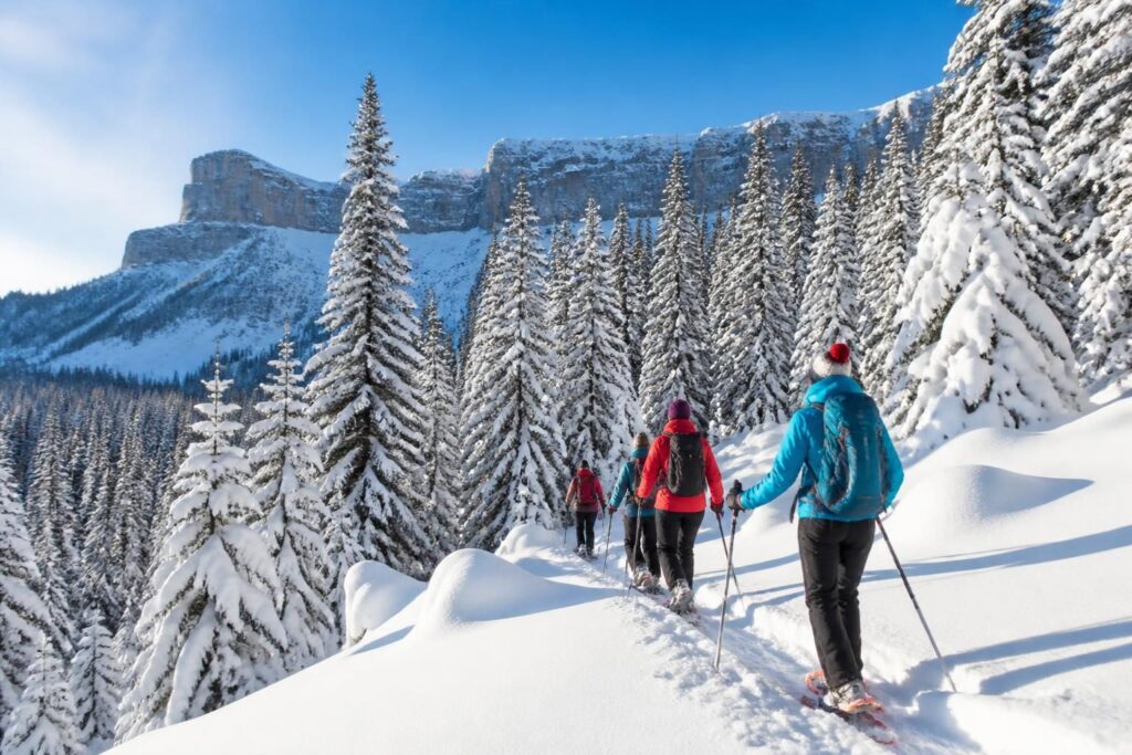 découvrez une escapade hivernale unique avec une randonnée en raquettes dans le vercors, entre paysages enneigés et nature préservée.